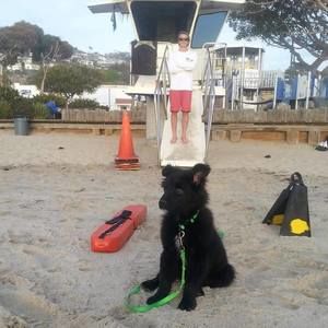 Meet your Posher, David